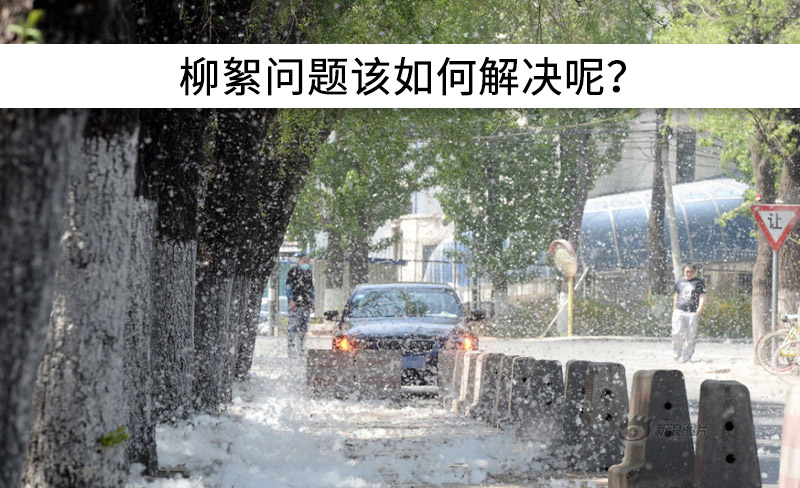 遇到“柳絮”不慌!這樣做,節(jié)能維修費用